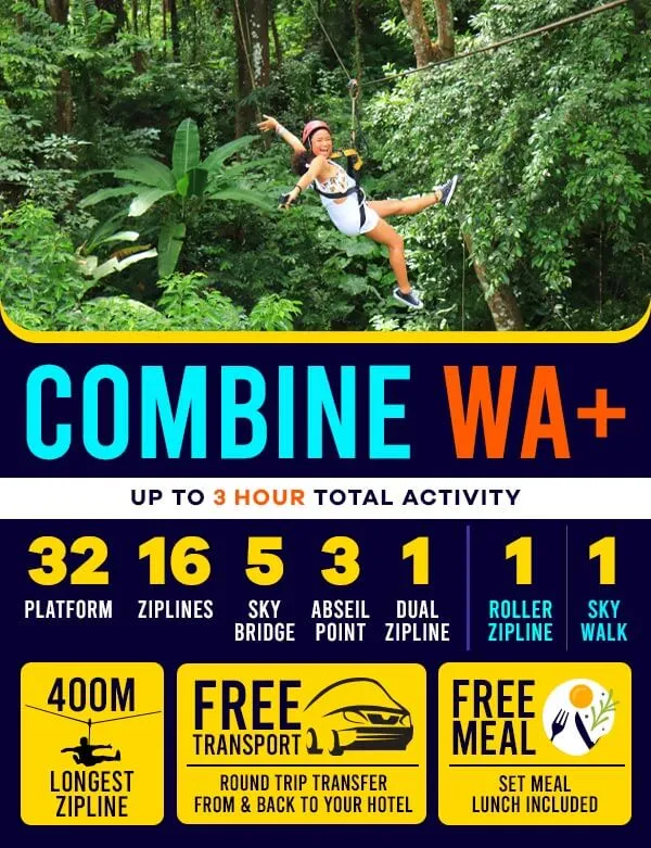 אומגות בפוקט