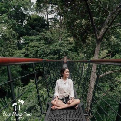 אומגות פוקט