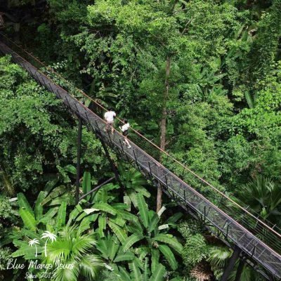 אומגות בפוקט 055-939-8428