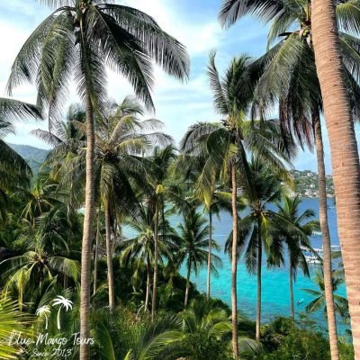 Blue Mango Tours - Koh Tao 11