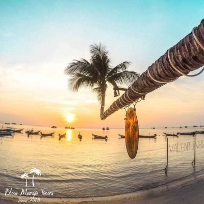 טיול לקו טאו - בלו מנגו טורס תאילנד 055-939-8428