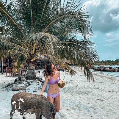 אי החזירים טיול פרטי של סוכנות בלו מנגו תאילנד 055-939-8428