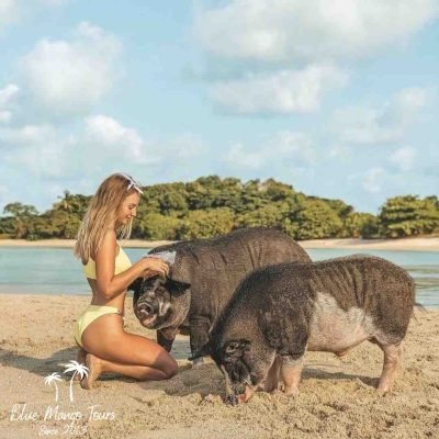 בלו מנגו טורס תאילנד