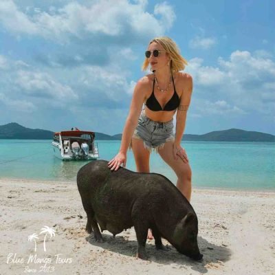 אי החזירים טיול פרטי של סוכנות בלו מנגו תאילנד 055-939-8428
