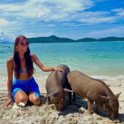 אי החזירים קוסמוי