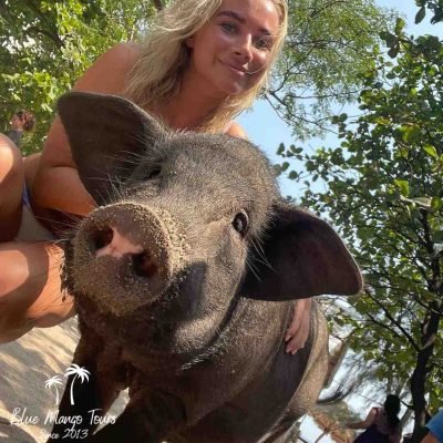 אי החזירים קוסמוי