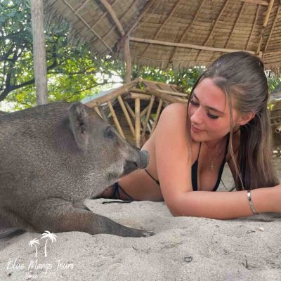 אי החזירים טיול פרטי של סוכנות בלו מנגו תאילנד 055-939-8428