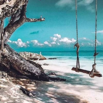 טיול 7 האיים קופיפי מאיה ביי - בלו מנגו טורס תאילנד